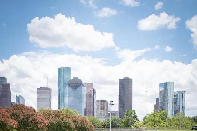 Surviving Houston Summers