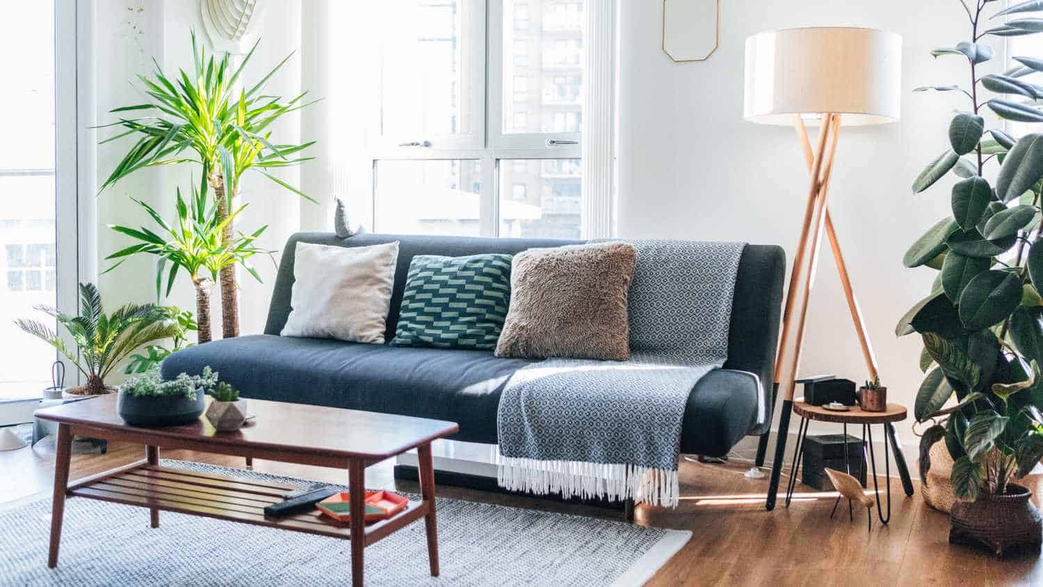 The Renter’s Handbook Everything You Need to Know About Apartment